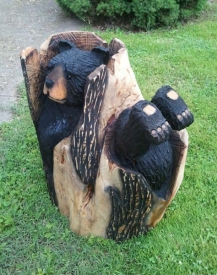 2-bears-in-log1