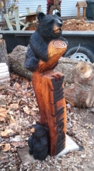 bear-tree1