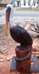 pelican