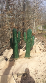 20170305_152655